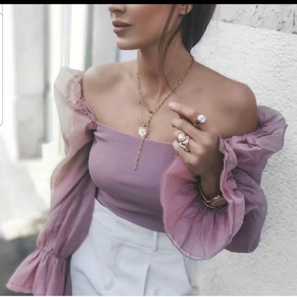 Zara Sweaters - Zara contrasting organza top